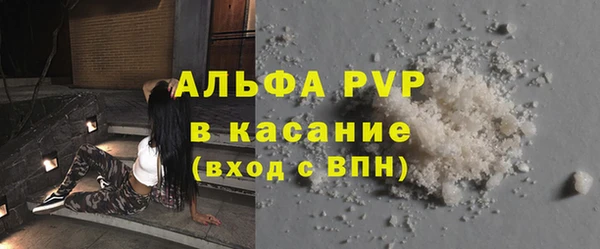 стаф Волоколамск