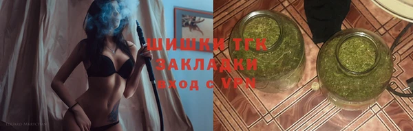 дживик Володарск