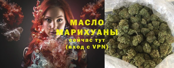 дживик Володарск