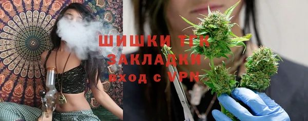 дживик Володарск