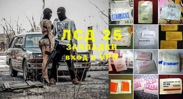 стаф Волоколамск