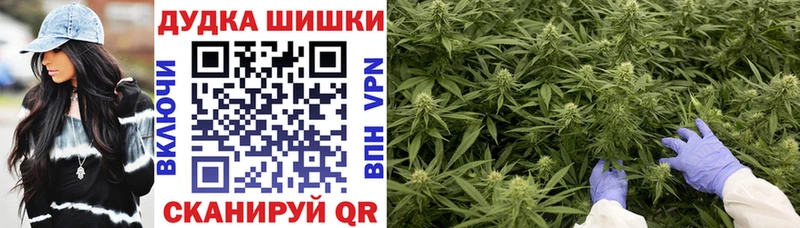 продажа наркотиков  блэк спрут маркетплейс  Шишки марихуана сатива  Ленинградская 